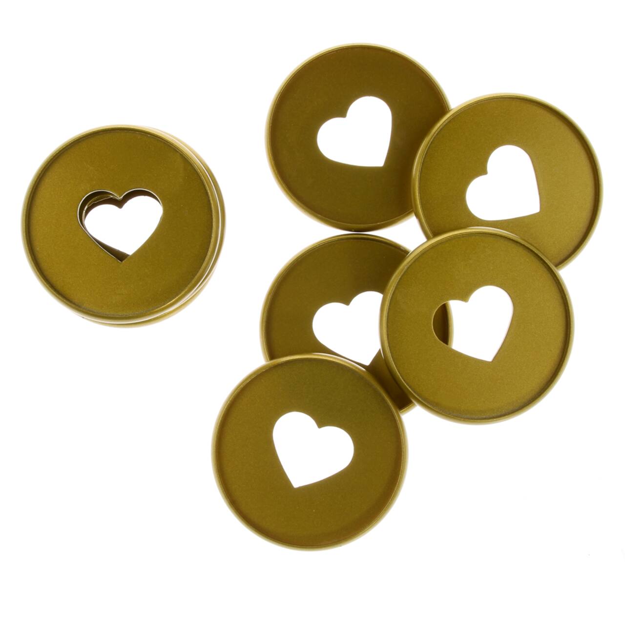 The Happy Planner&#xAE; Gold Expander Discs